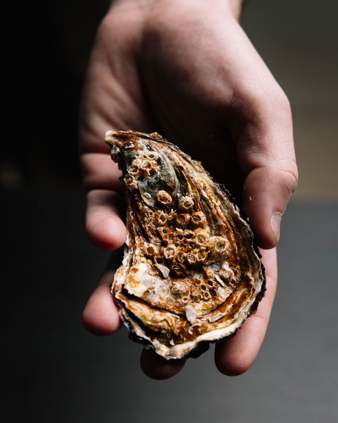 Ostra templada, sabayón de txakoli.
